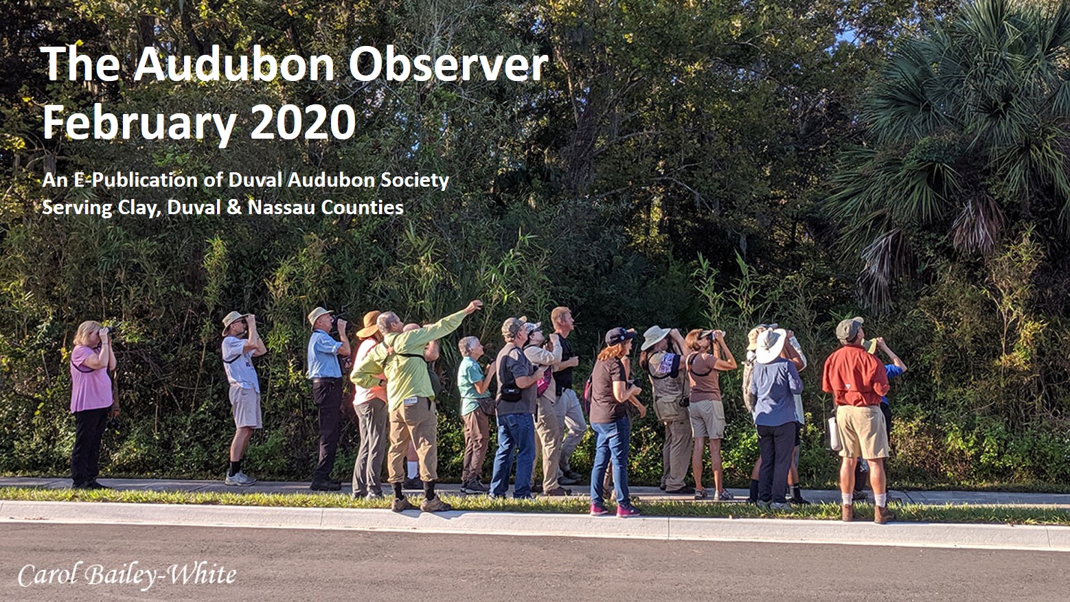 2020 Feb Observer Banner 1
