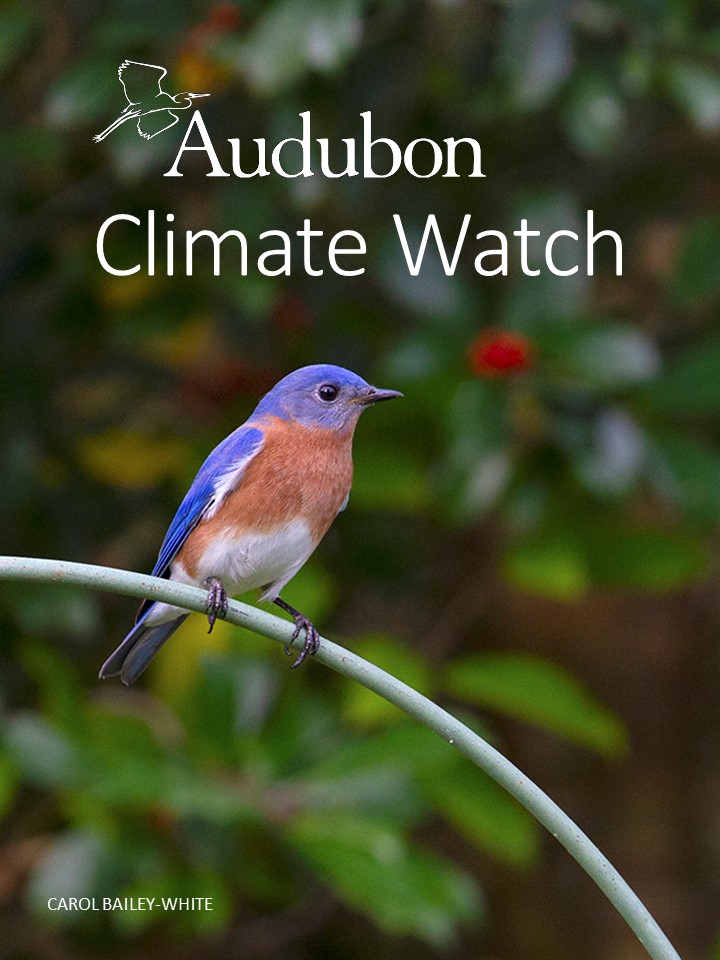 202201 Audubon Climate Watch