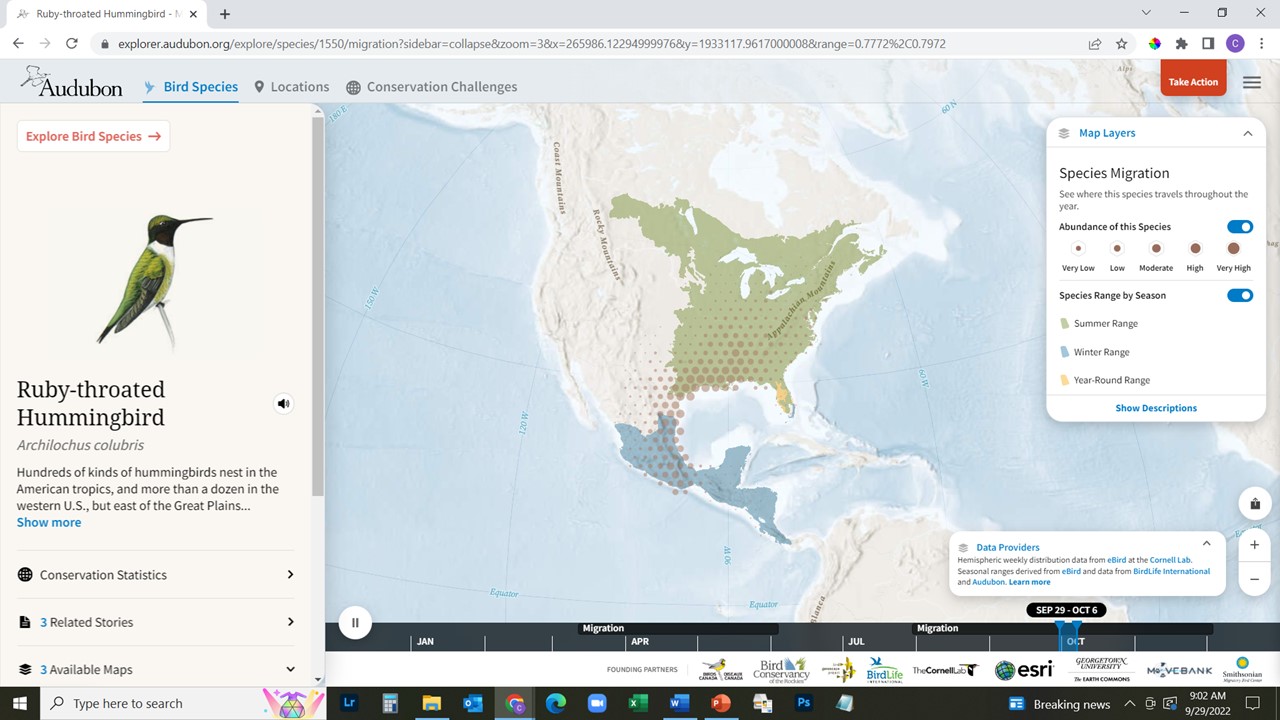 202210 Audubon Bird Migration Explorer screen shot