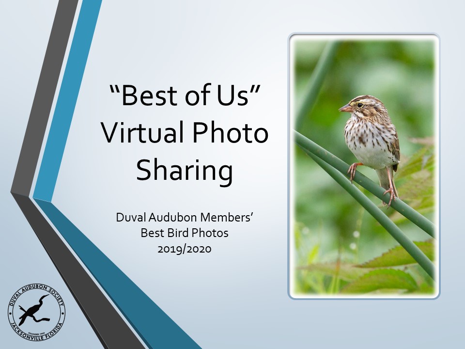 Best of Us Virtual Photo Sharing cover photo