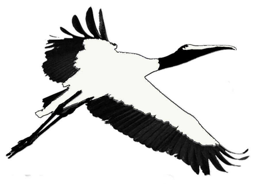 Conserve Nassau logo stork