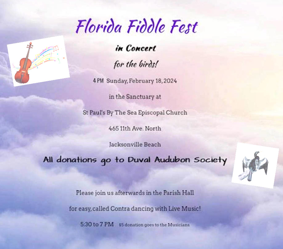 Florida Fiddle Fest 2024