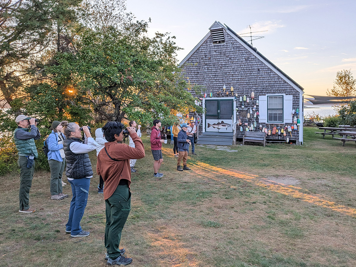 Hog Island birding at Fish House Kate Zeray 202509