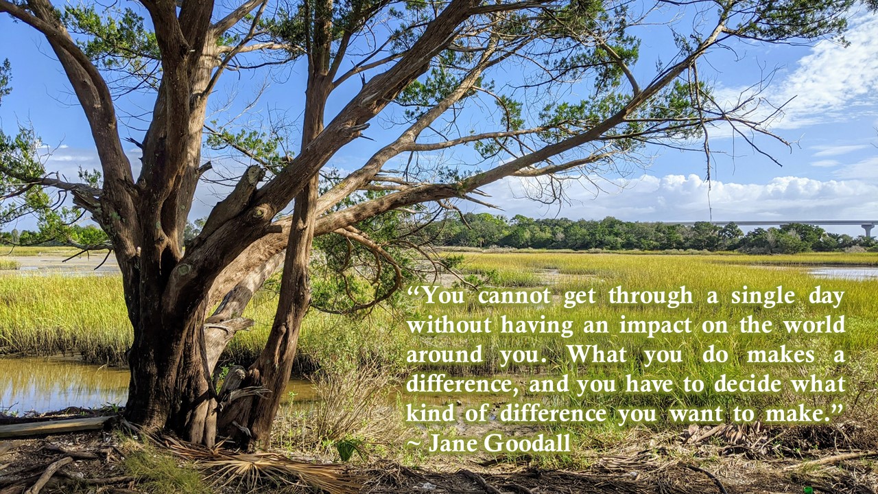 Jane Goodall quote for Earth Day 2022