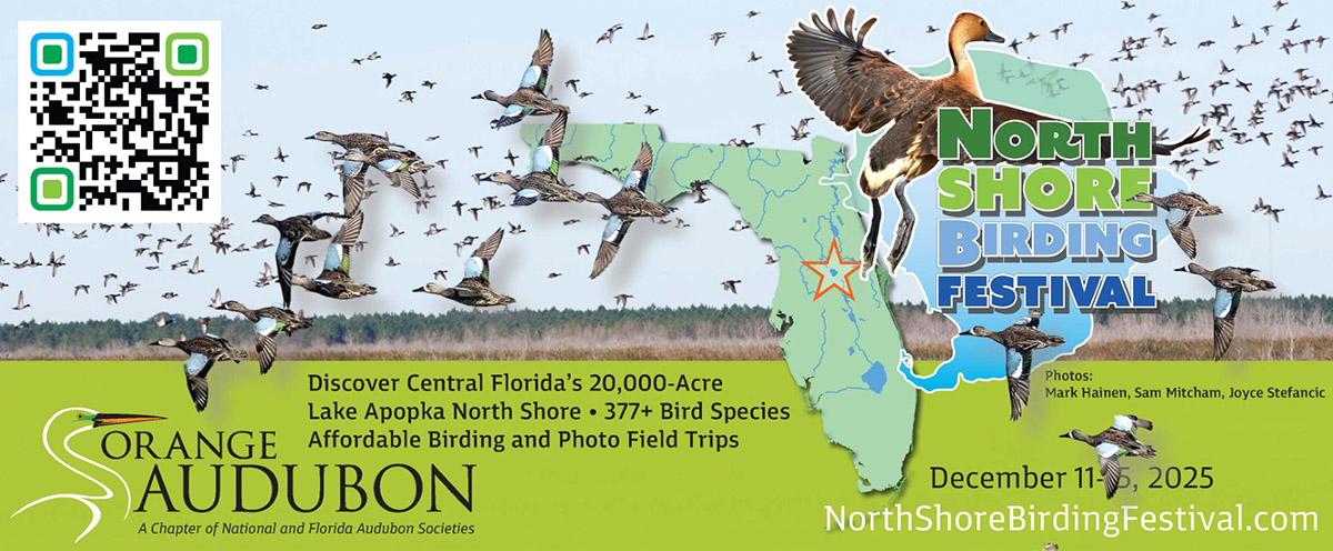 North Shore Birding Festival 2025