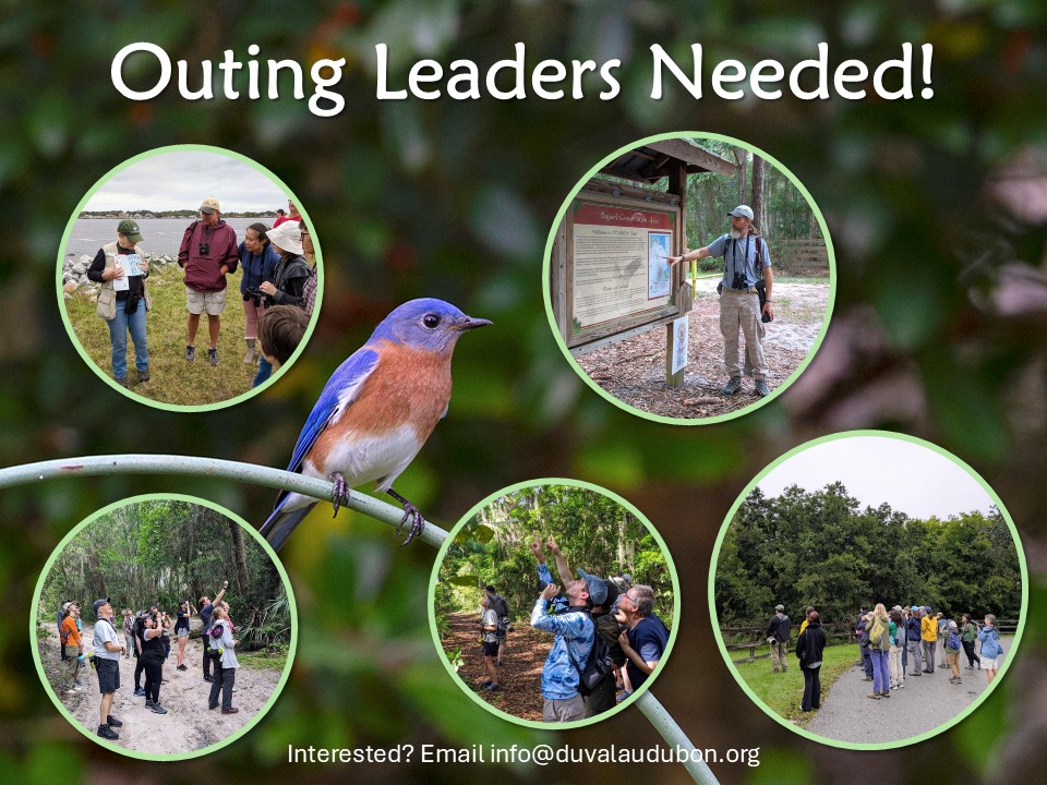 Outing Leaders Needed 202510