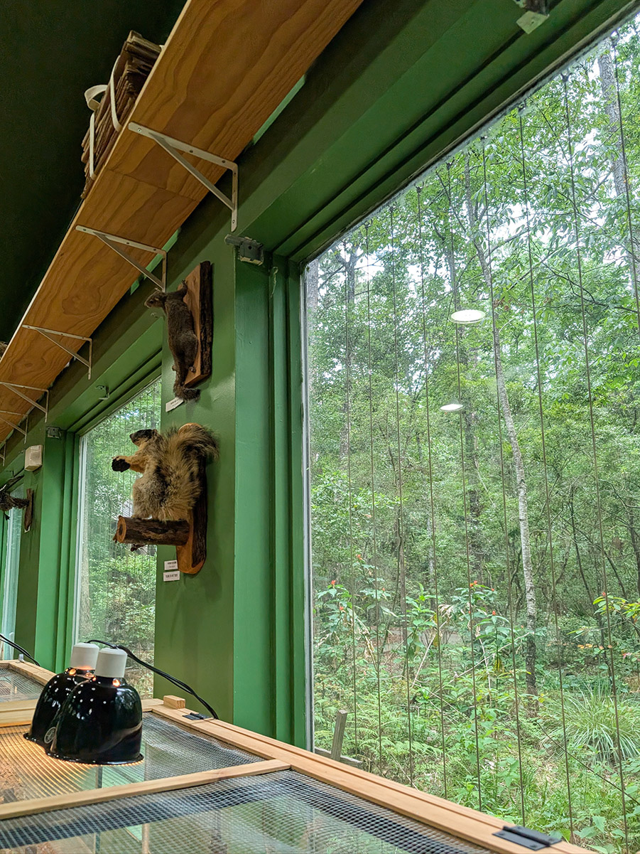 Tillie Fowler Nature Center Acopian Bird Savers 20250525 6