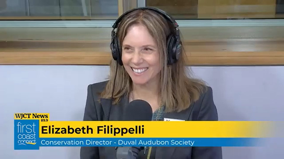 202504 Elizabeth Filippelli on First Coast Connect