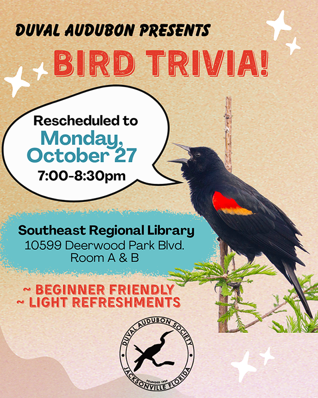 Bird Trivia