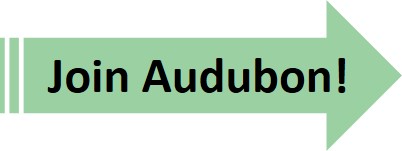 Join Audubon