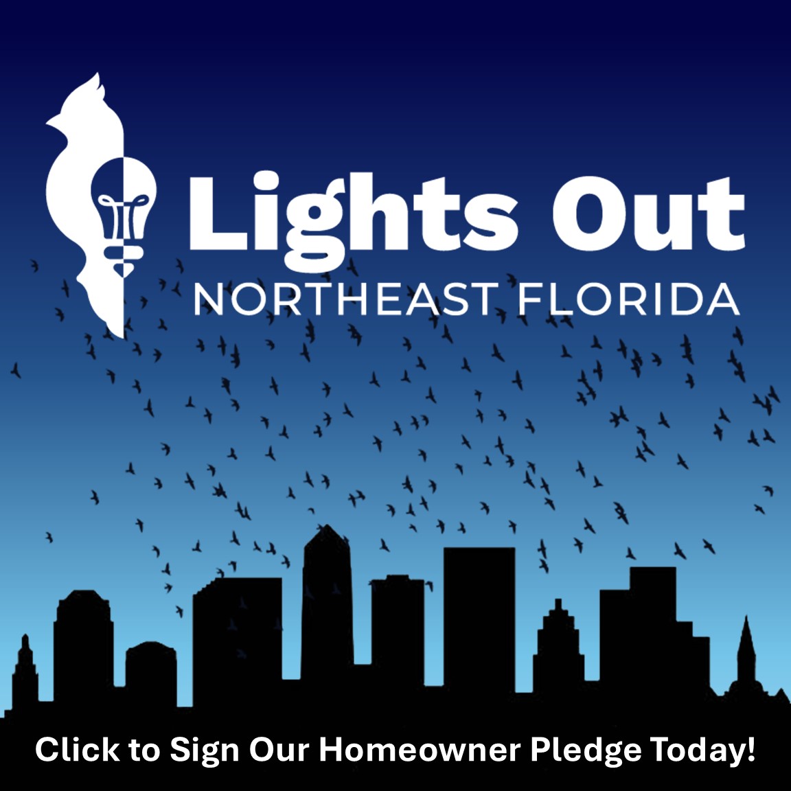 Lights Out Northeast Florida graphic