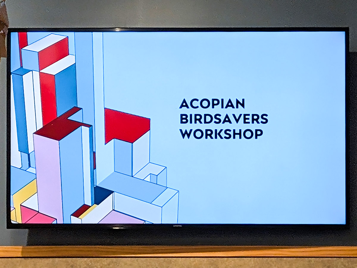 Title slide for Acopian Bird Savers DIY Workshop Presentation