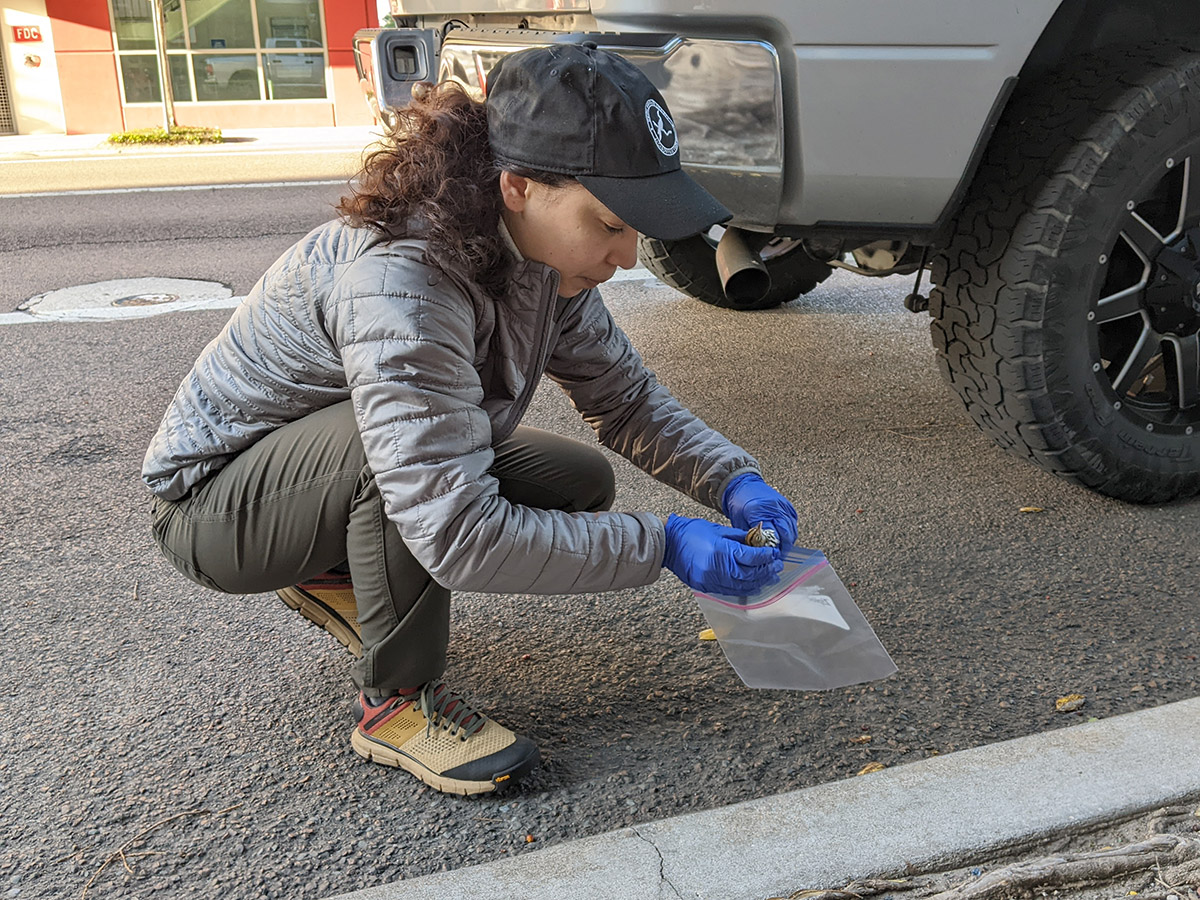 LONF Volunteer at work