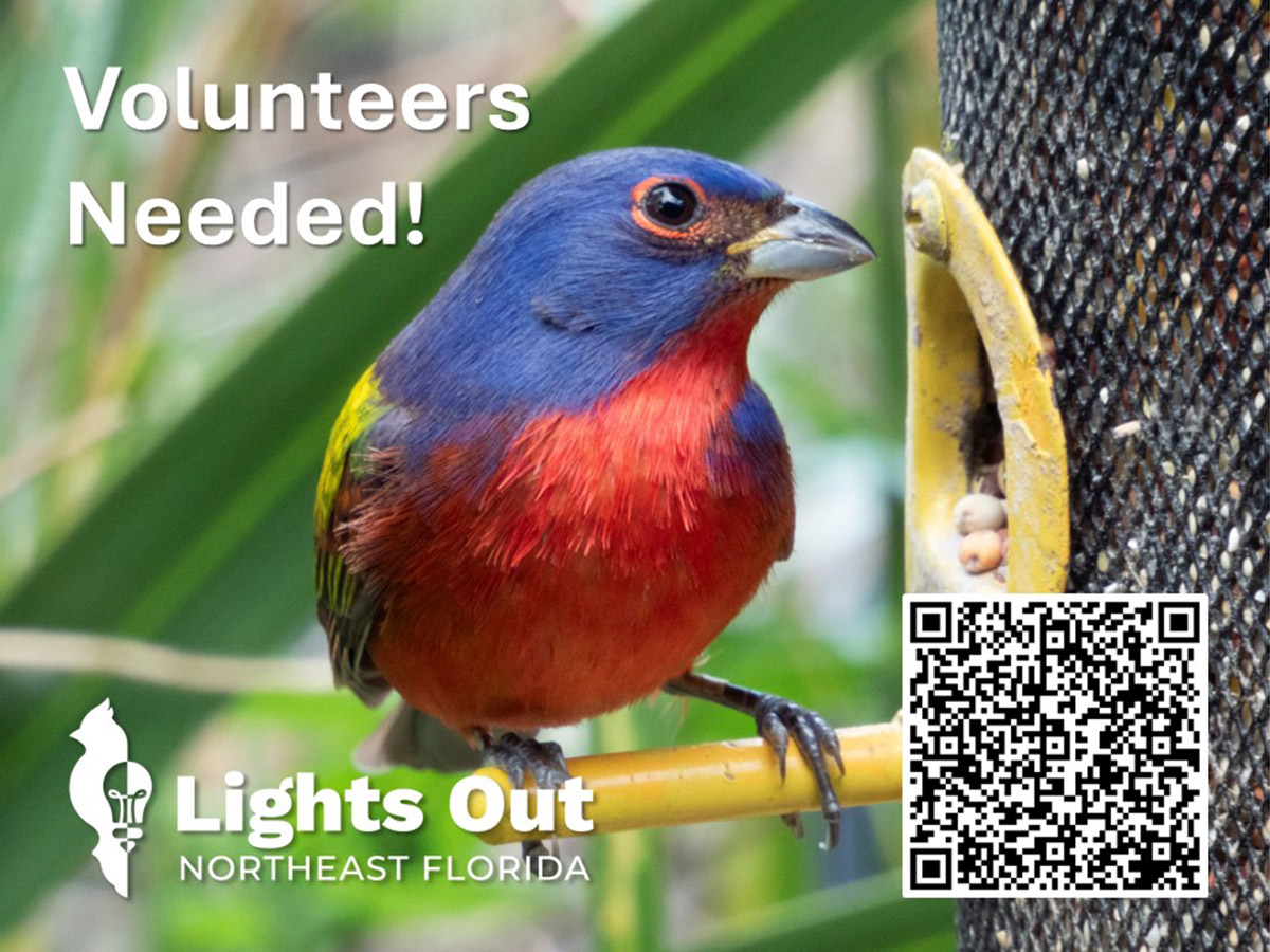 LONF Volunteer Plea Graphic with Painted Bunting