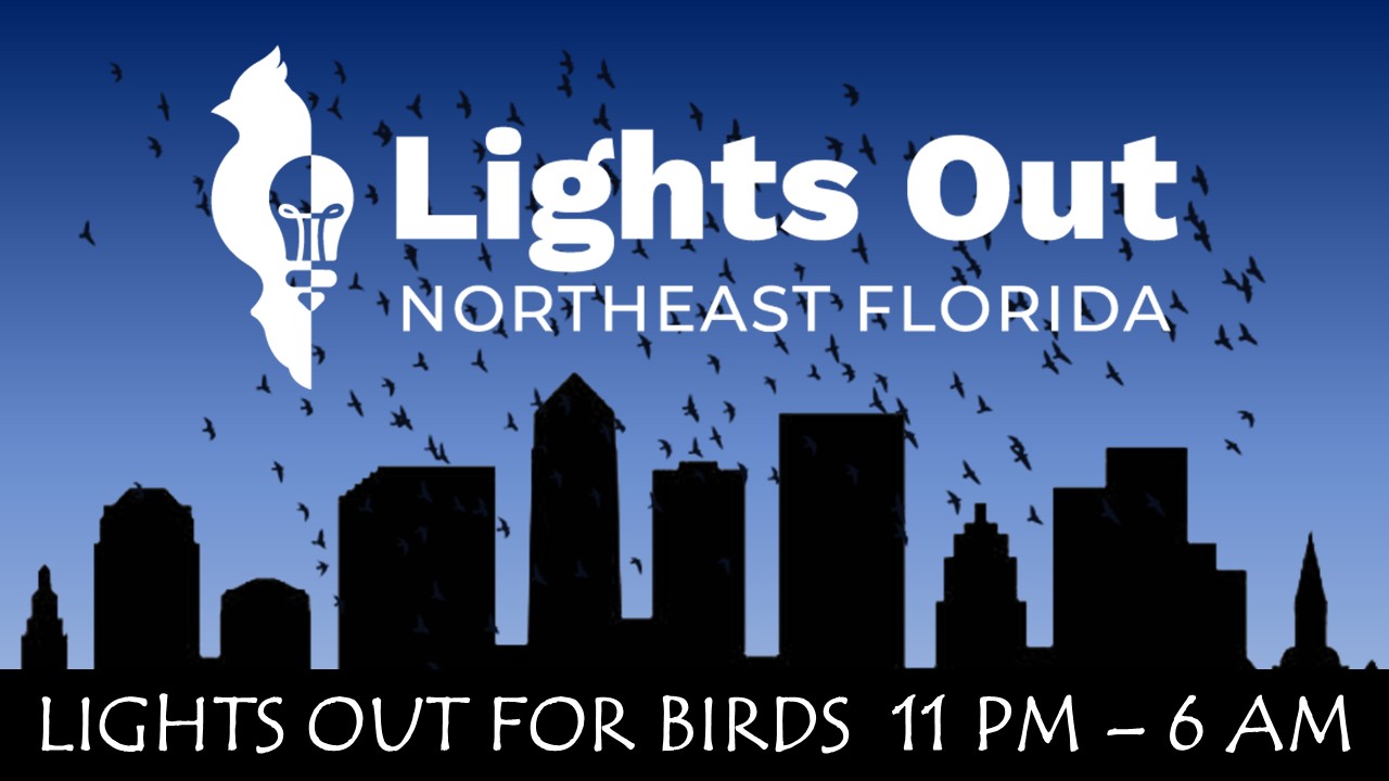 Lights Out Northeast Florida graphic with Jax city skyline