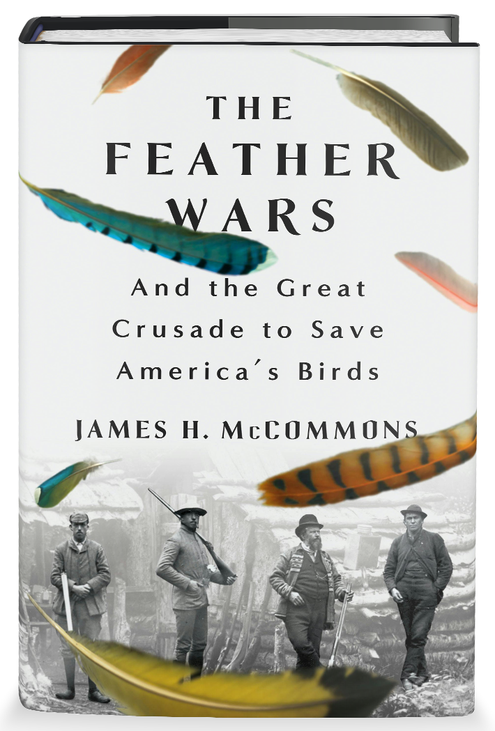 Feather Wars cover image